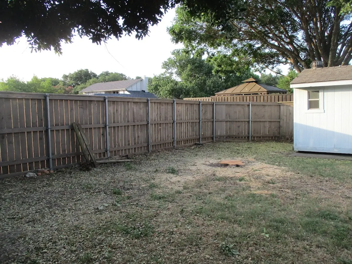 Cleared yard after professional tree removal in Pollock